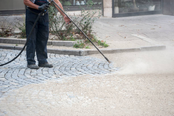 Best Sidewalk and Walkway Cleaning  in Chilhowie, VA